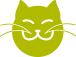kitty